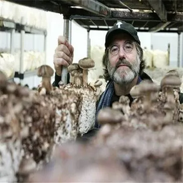 3-6-w-fungus-cultivation-stick-bagging