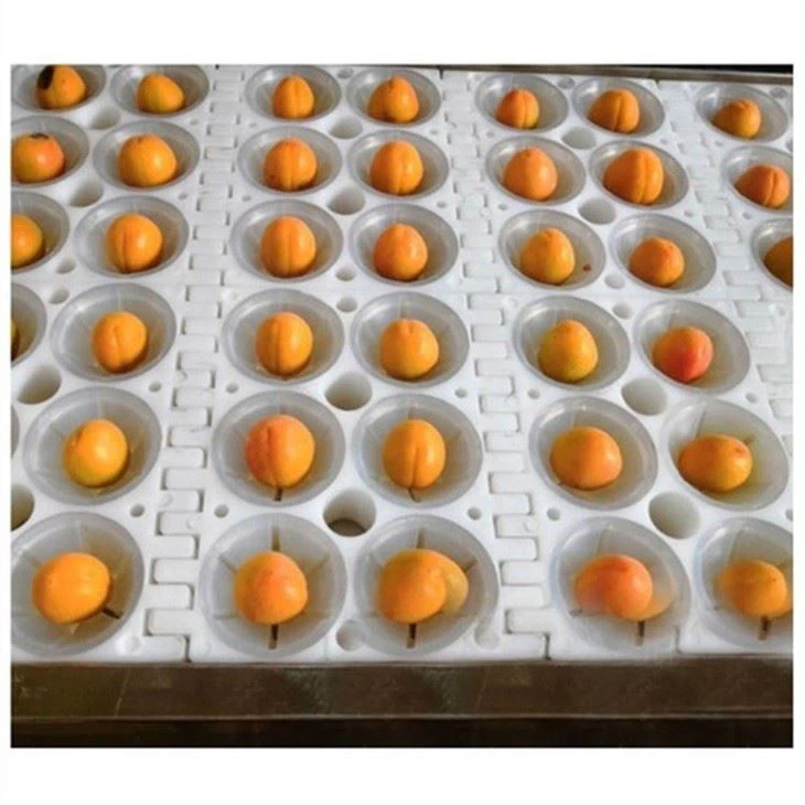 Apricot Core Stone Remover